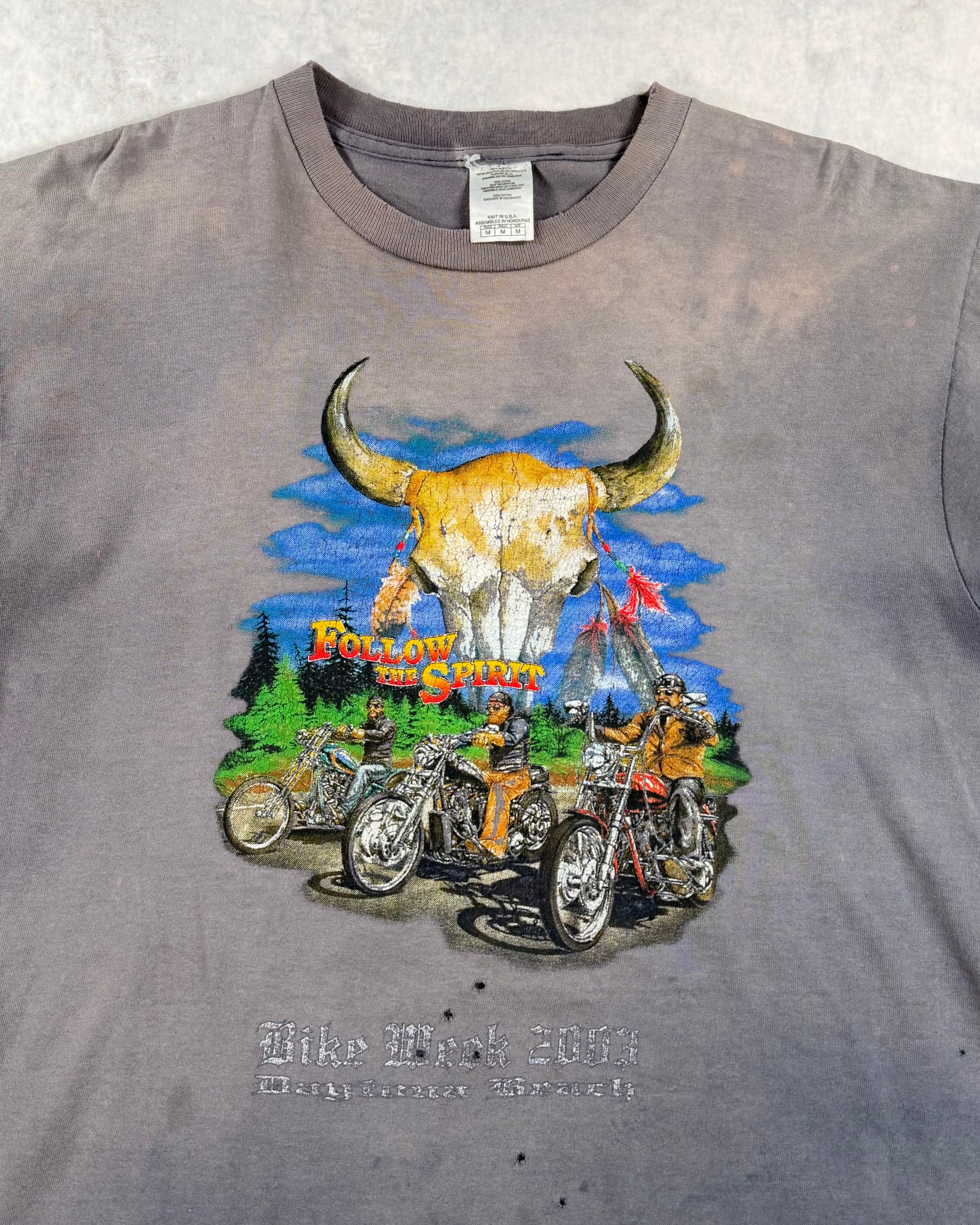 Vintage 2003 Bike Week Daytona Beach Faded T-Shirt (L)