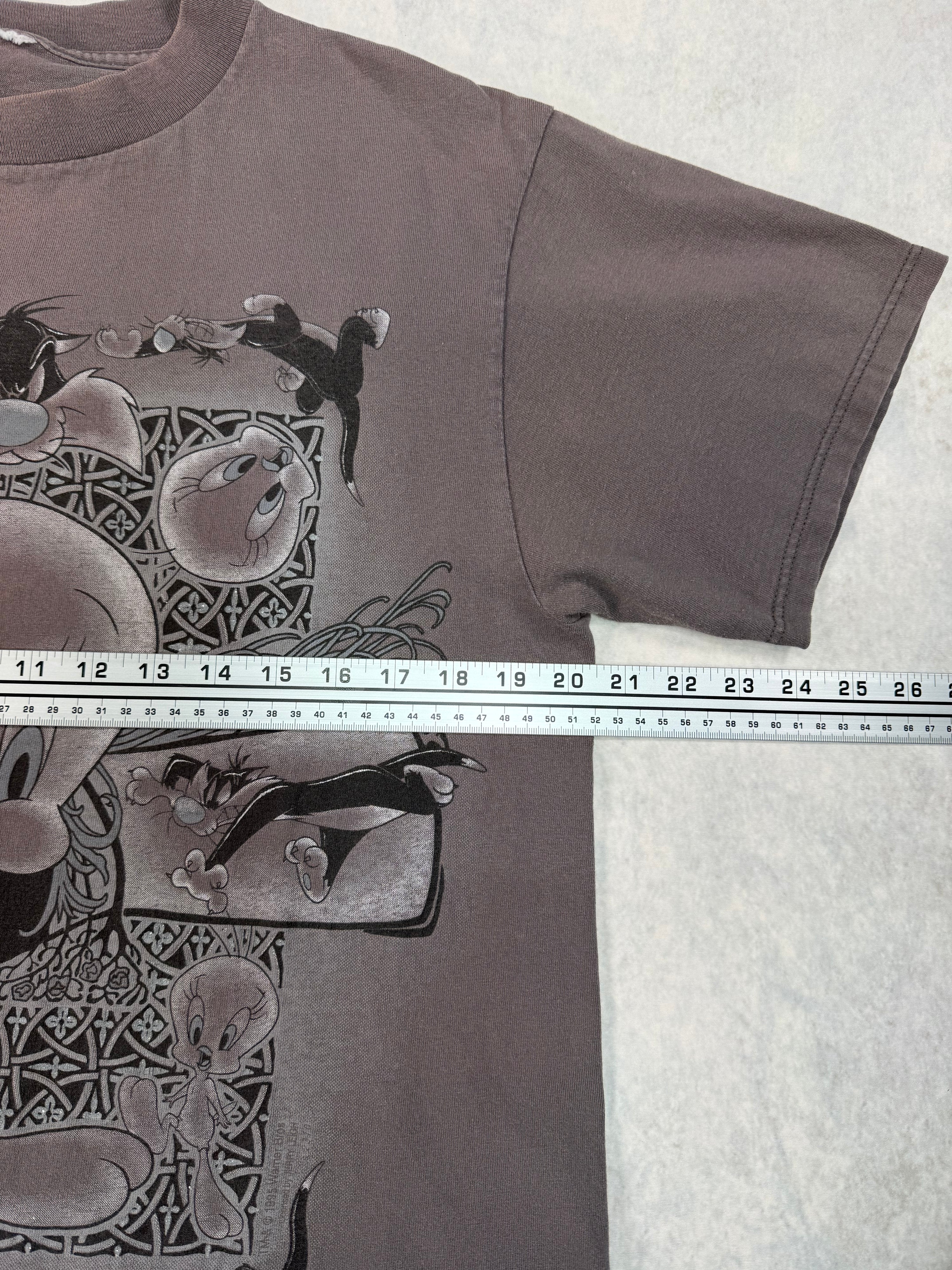 Vintage 1995 Looney Tunes Tweety Bird T-Shirt Faded Grey (L)