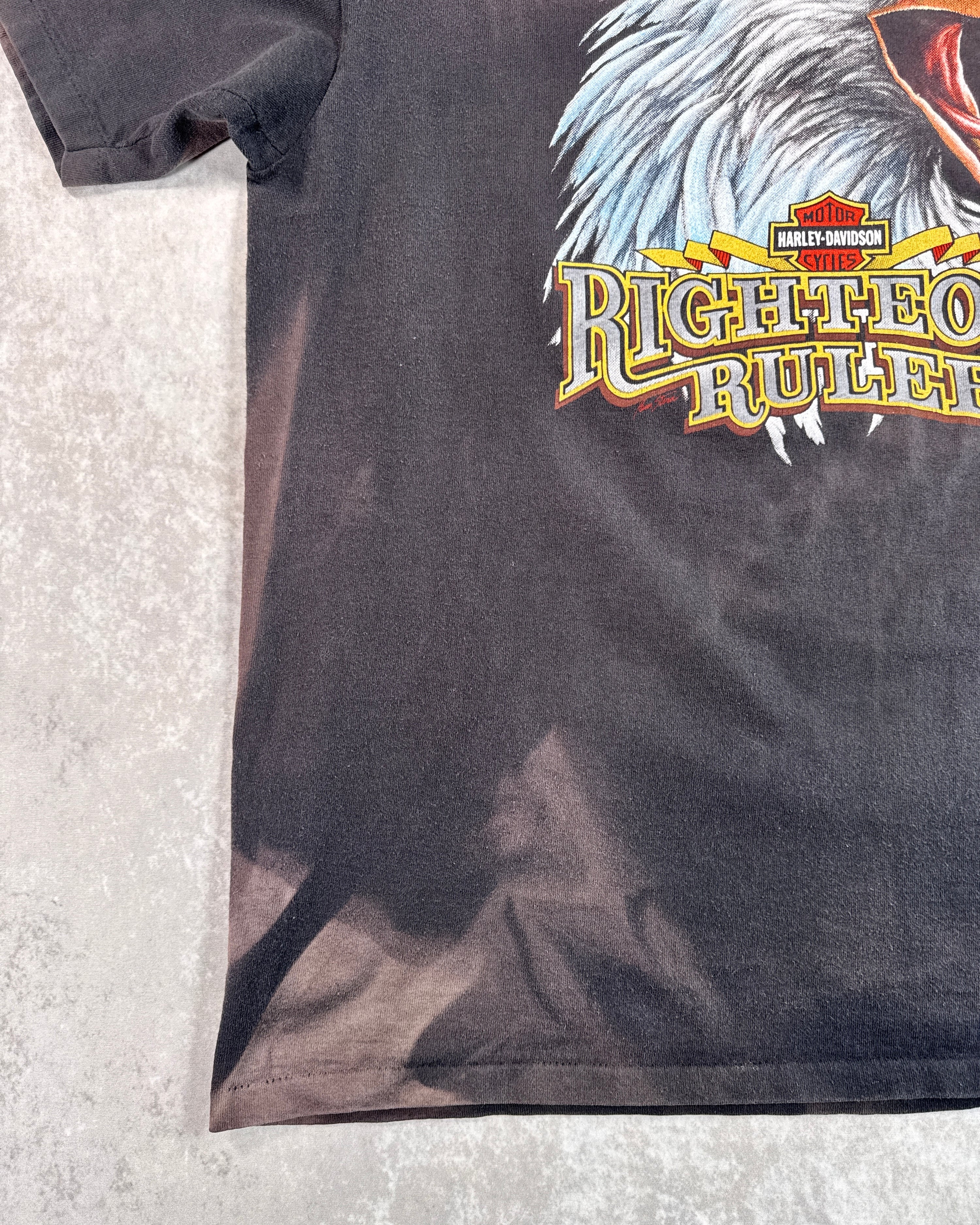 Vintage 1991 Harley Davidson 3D Emblem "Righteous Ruler" Faded T-Shirt (L)