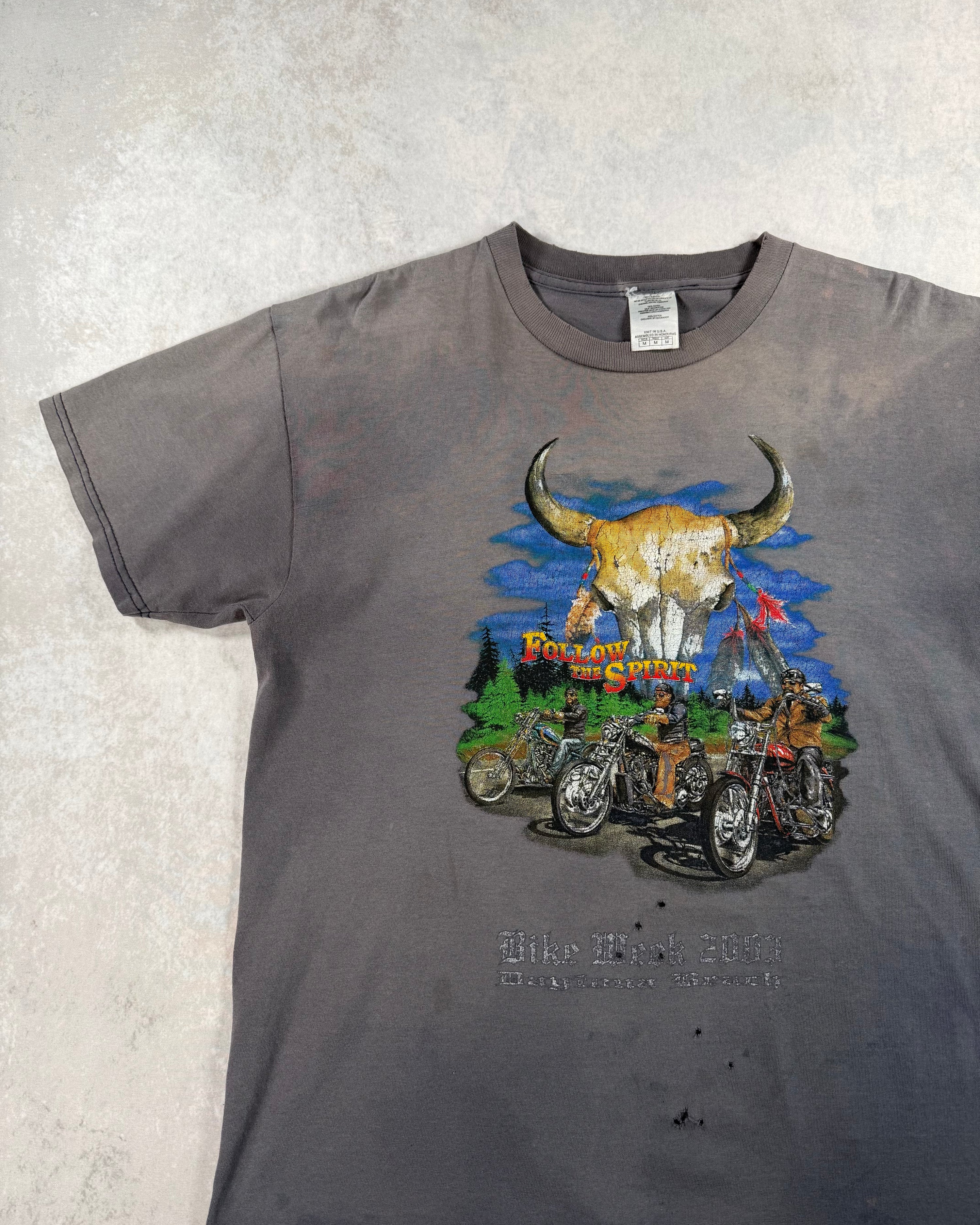 Vintage 2003 Bike Week Daytona Beach Faded T-Shirt (L)