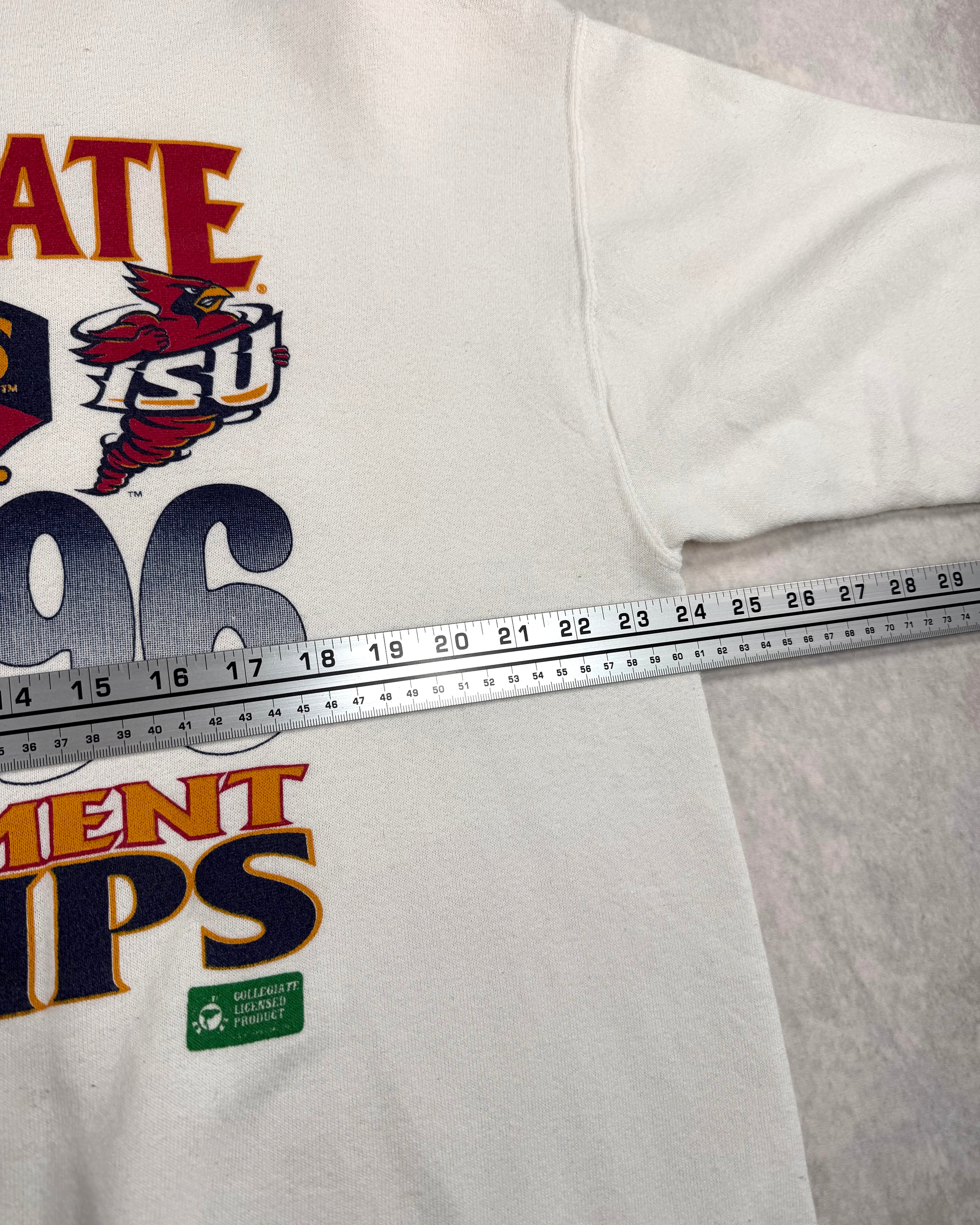 Vintage 1996 Iowa State Tournament Champs Crewneck (XL)