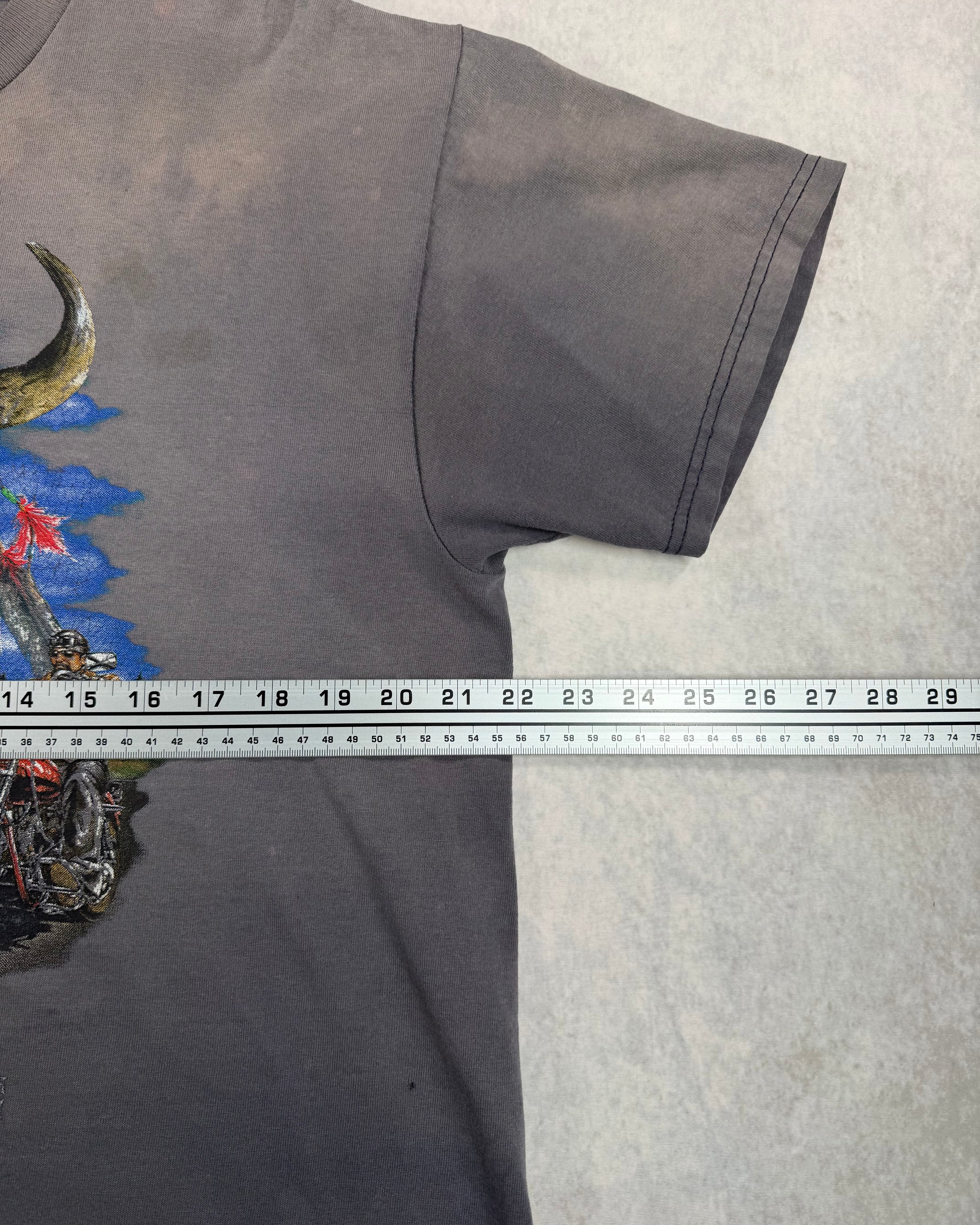 Vintage 2003 Bike Week Daytona Beach Faded T-Shirt (L)