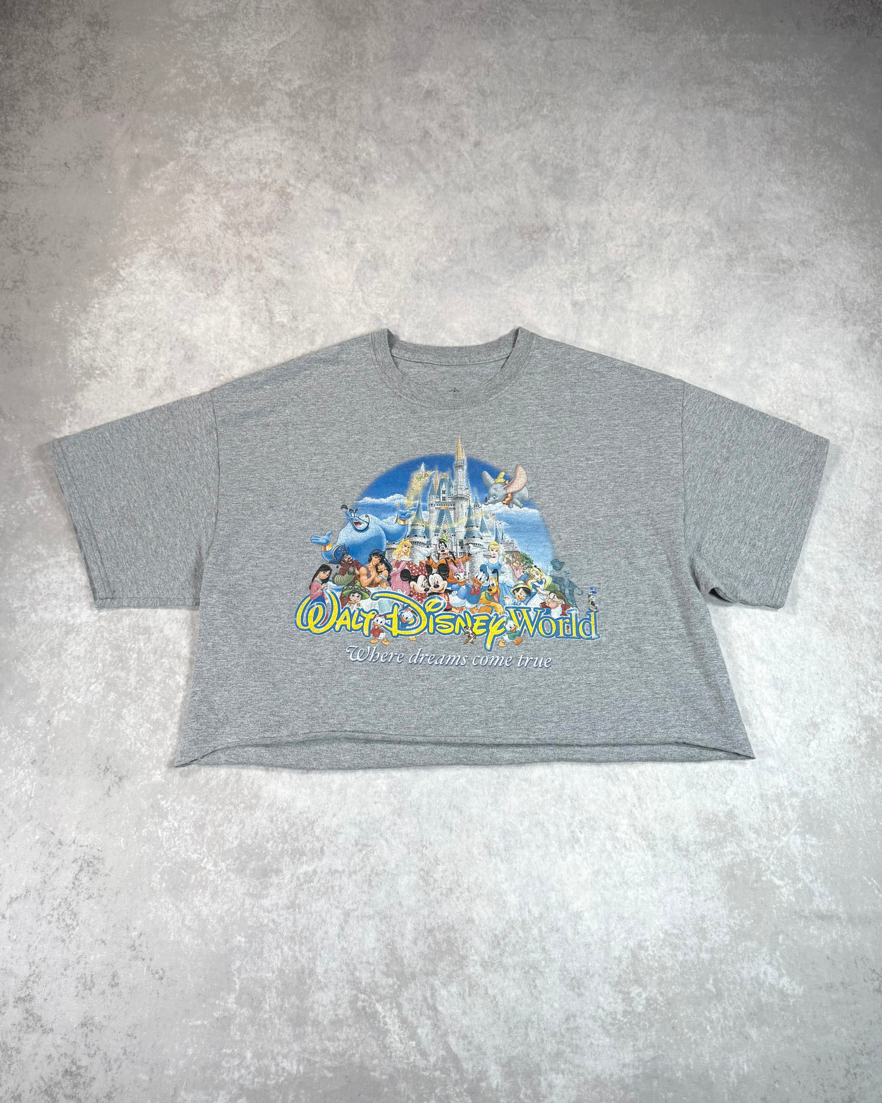 Vintage Walt Disney World Cropped T-Shirt Grey (L)