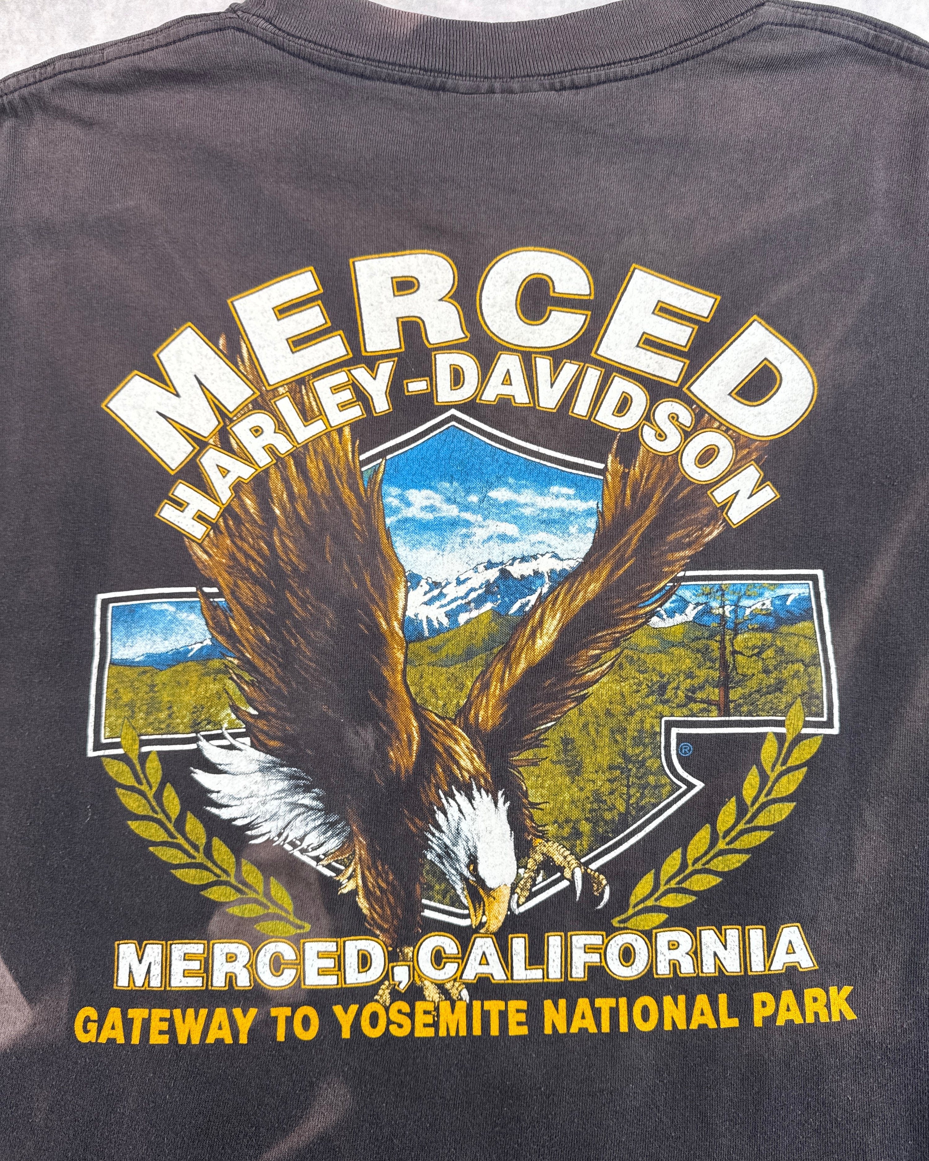 Vintage 1991 Harley Davidson 3D Emblem "Righteous Ruler" Faded T-Shirt (L)