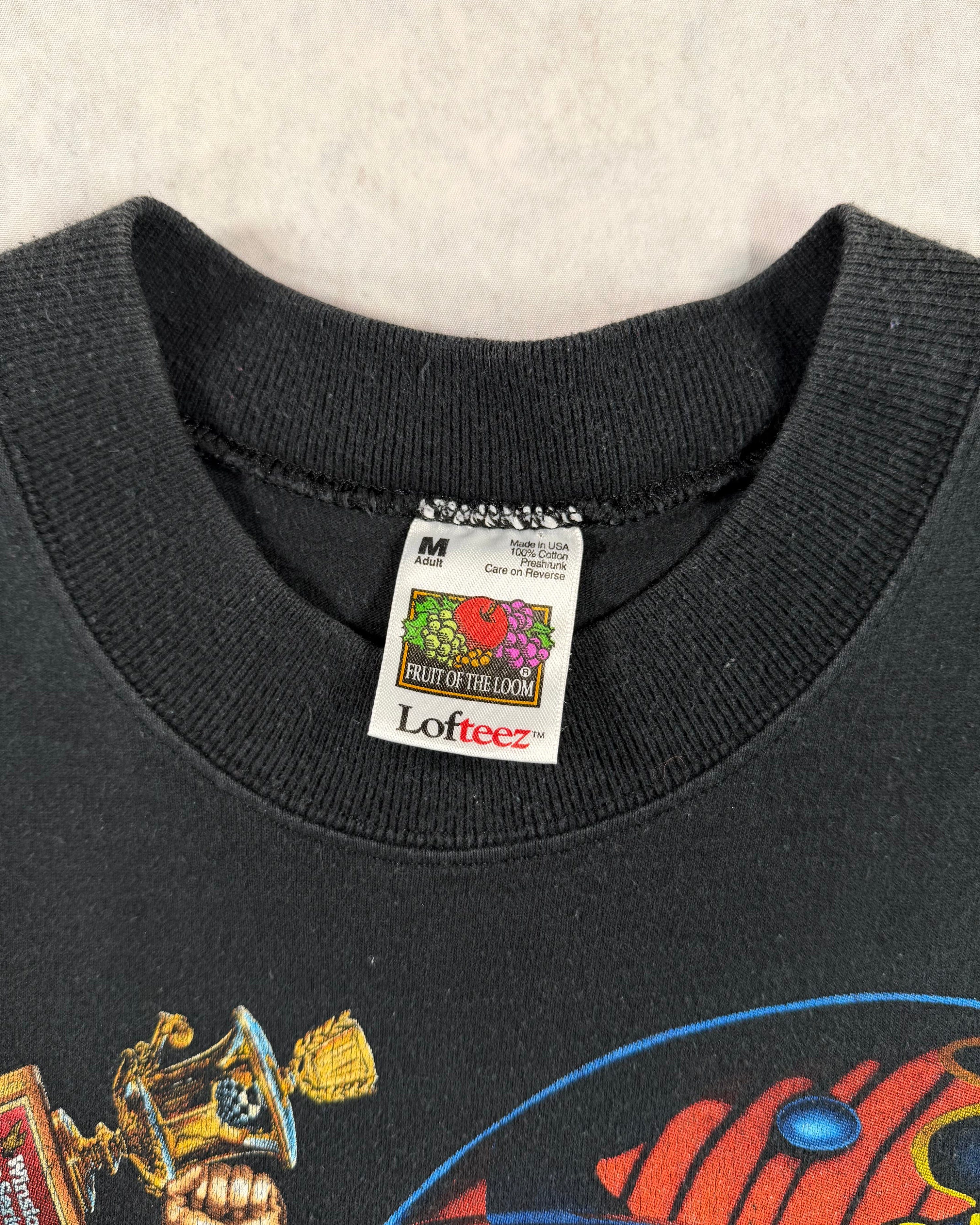 Vintage 1995 Jeff Gordon Nascar Champion T-Shirt (M)