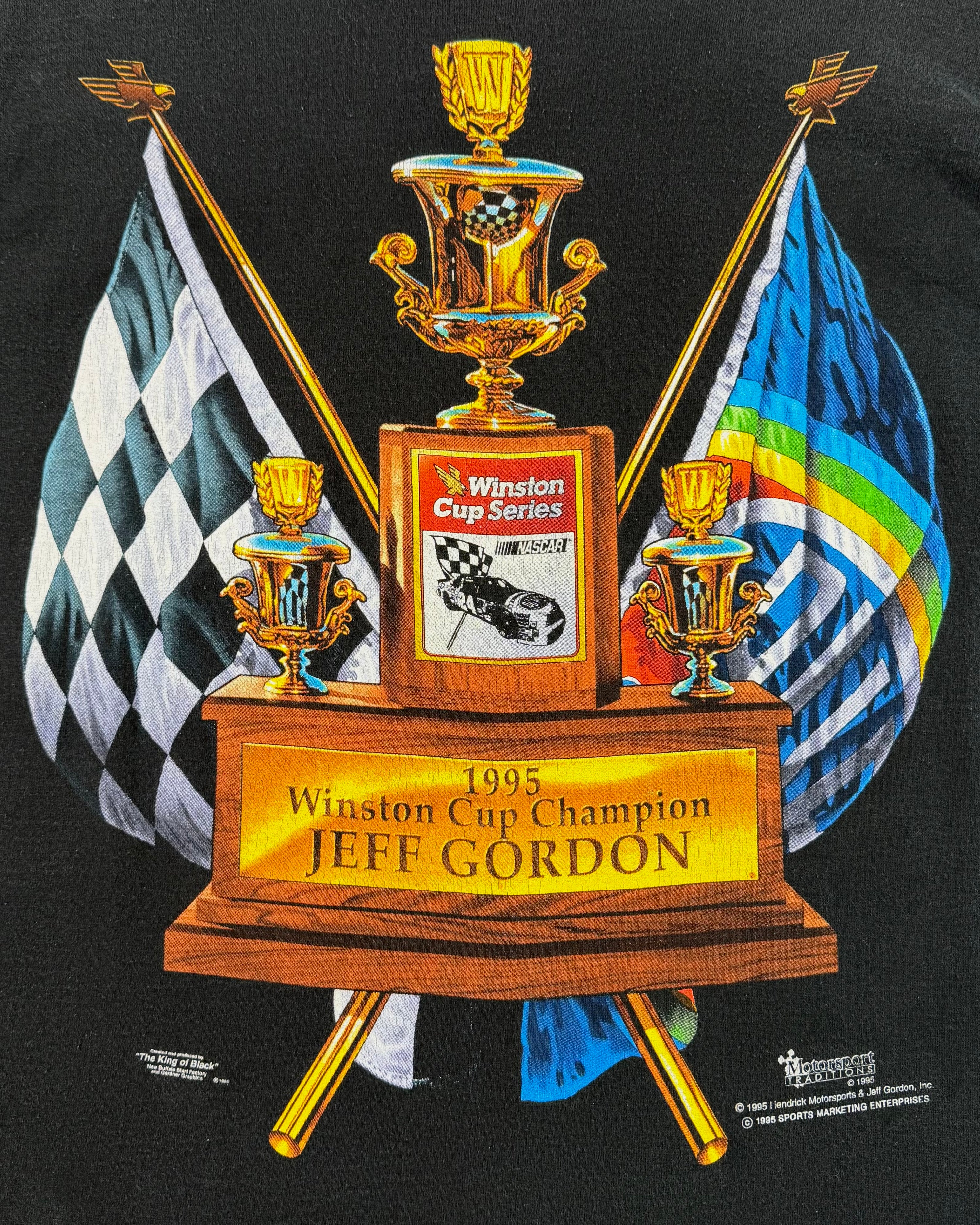 Vintage 1995 Jeff Gordon Nascar Champion T-Shirt (M)