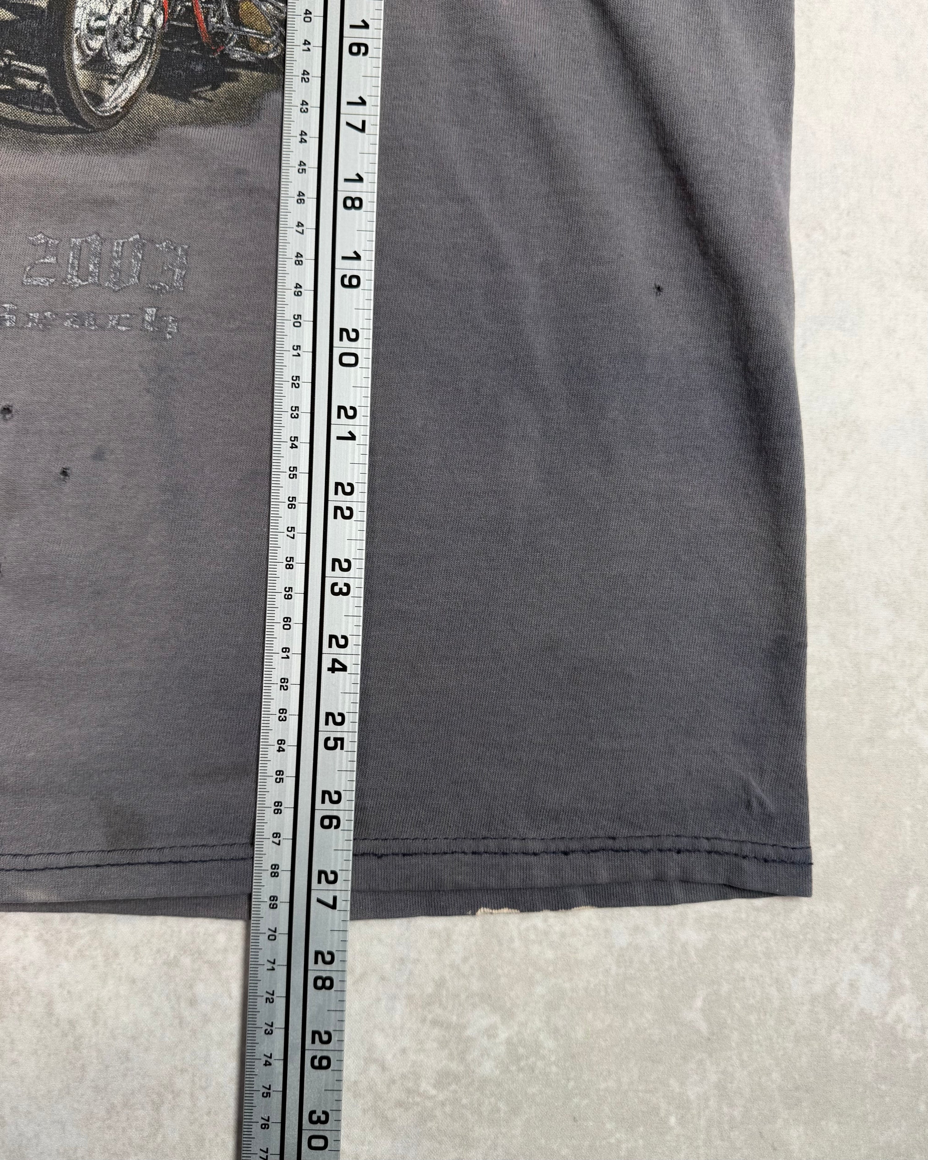 Vintage 2003 Bike Week Daytona Beach Faded T-Shirt (L)