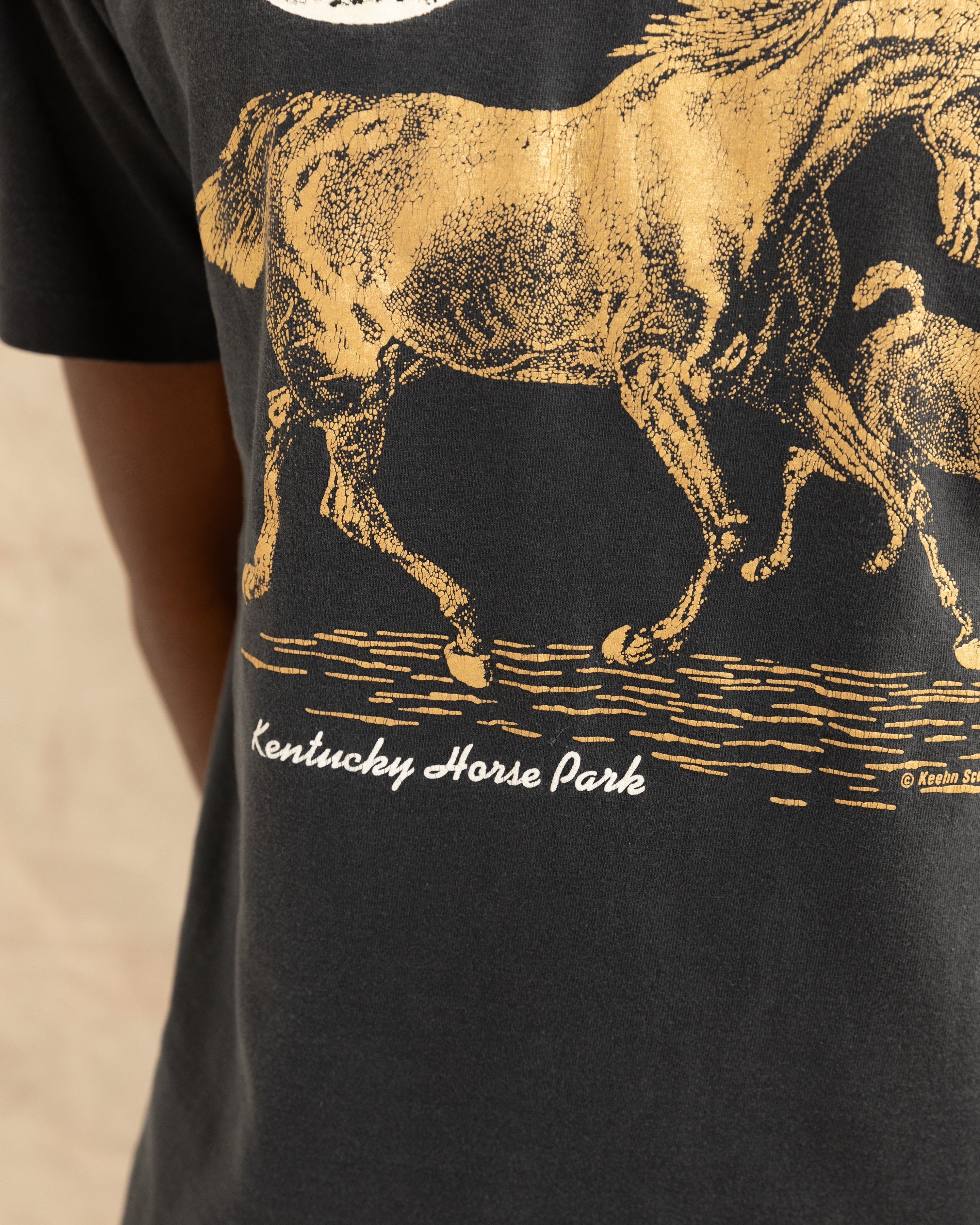 Vintage 90s Kentucky Horse Park T-Shirt Black (L)